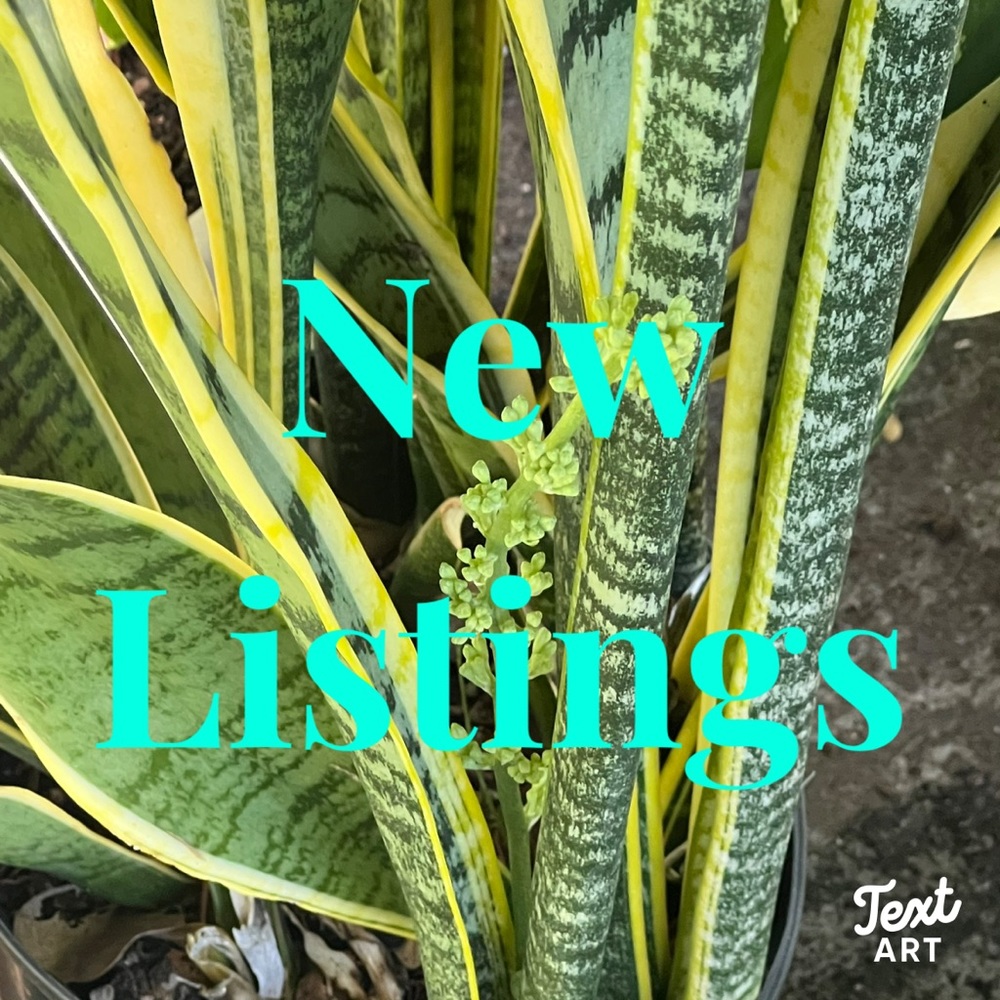 New items listed! - Picture 7 of 16